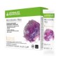 Herbalife Microbiotic Max SKU 173K_product1